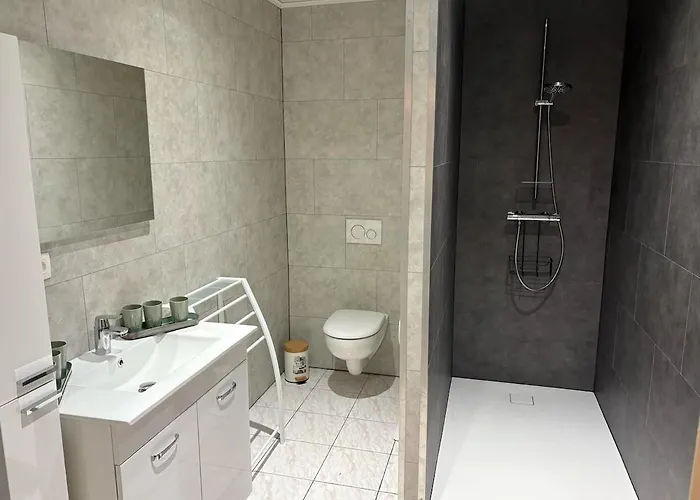 De La Ruelle Vakantiehuis Couvin